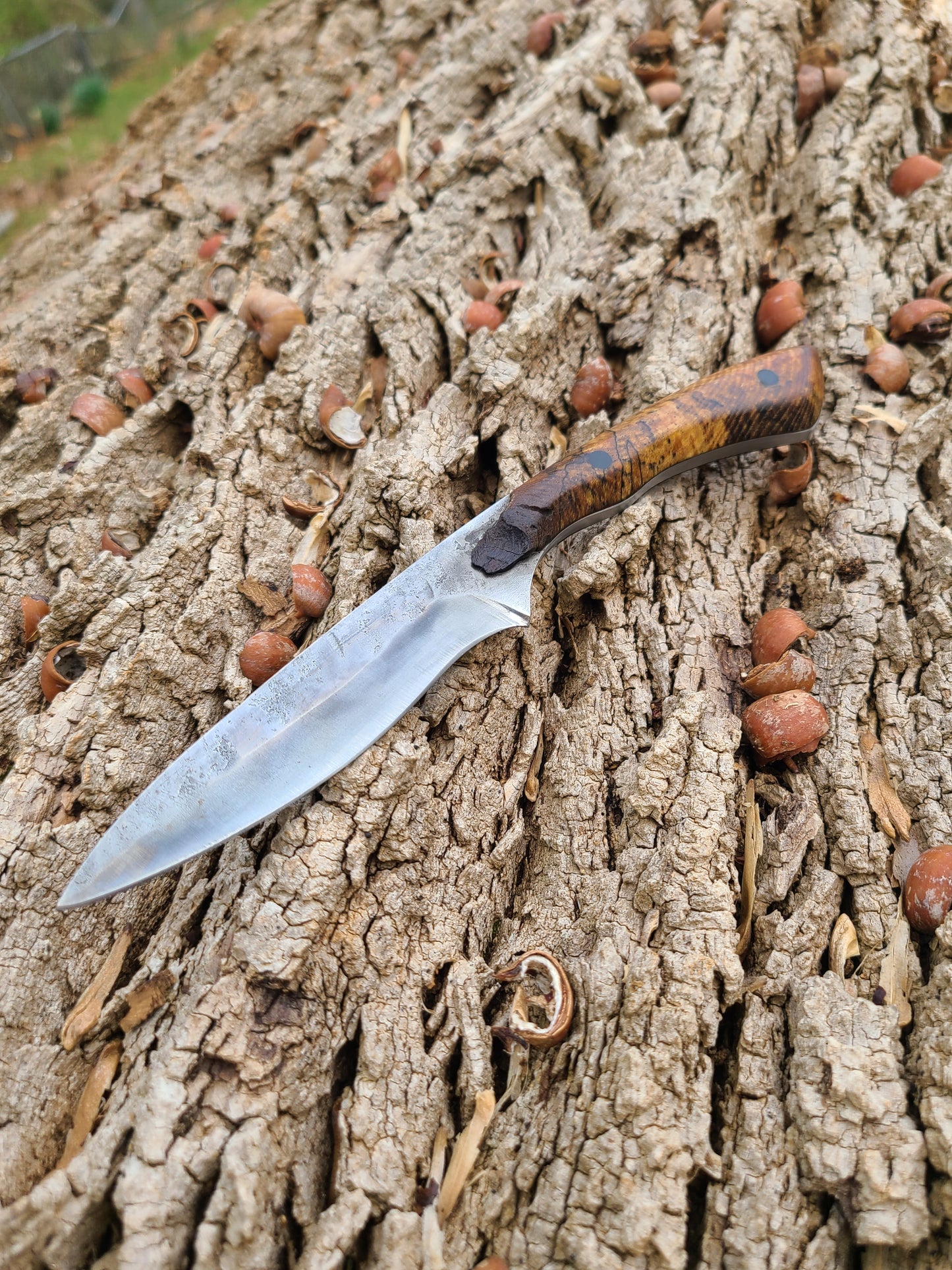 Live-edge Spalted Oak Trail Knife