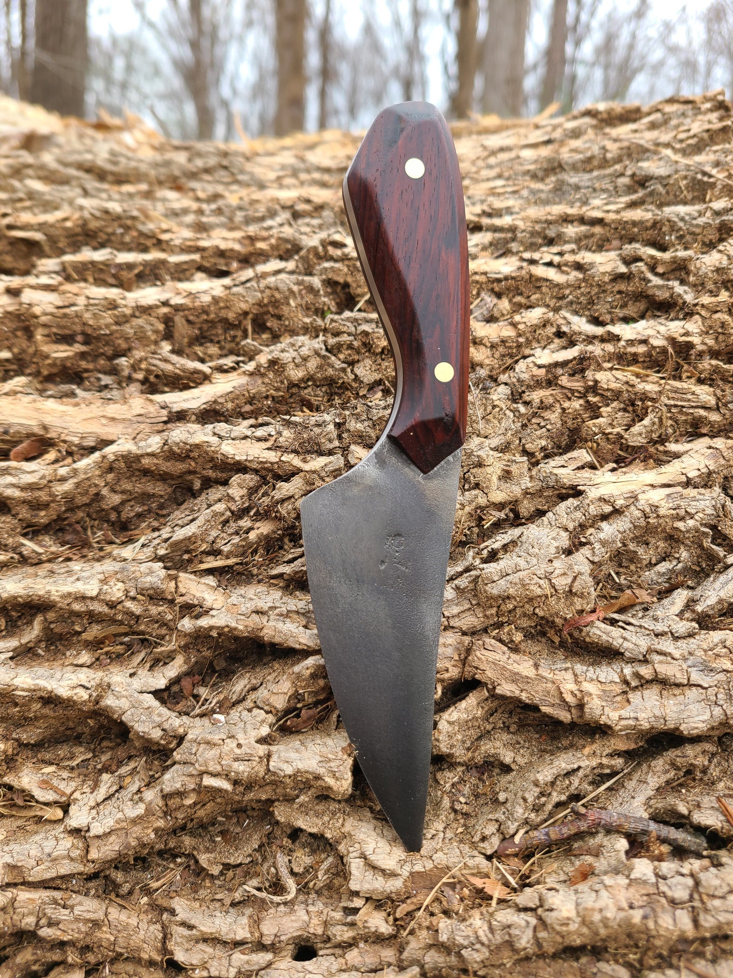 3.5" Cocobolo Jax Knife