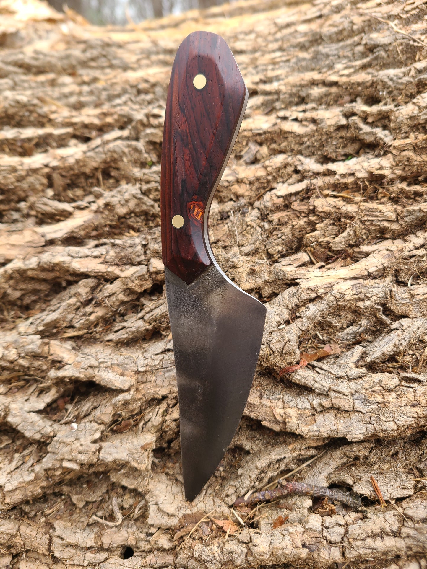 3.5" Cocobolo Jax Knife