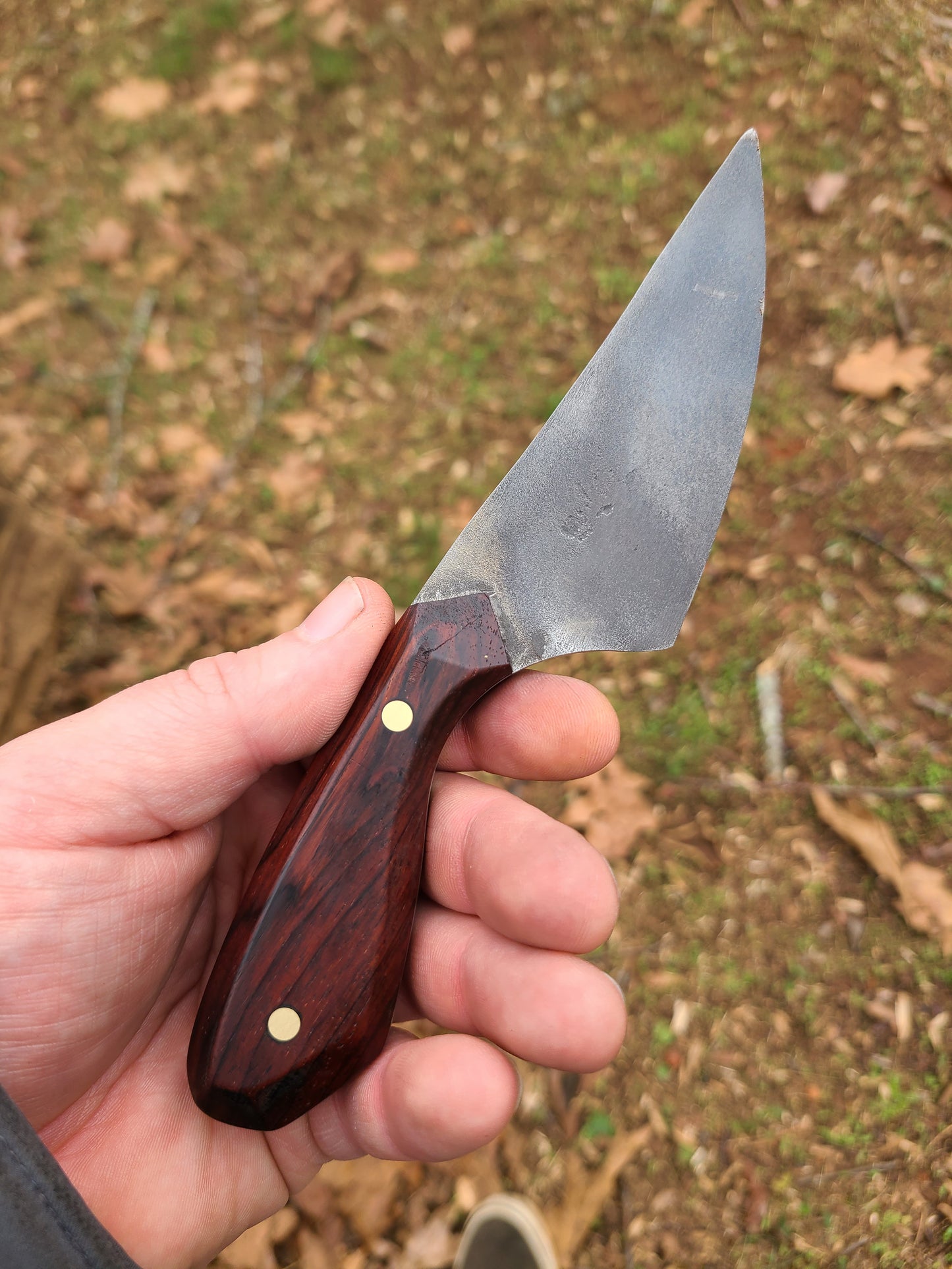 3.5" Cocobolo Jax Knife