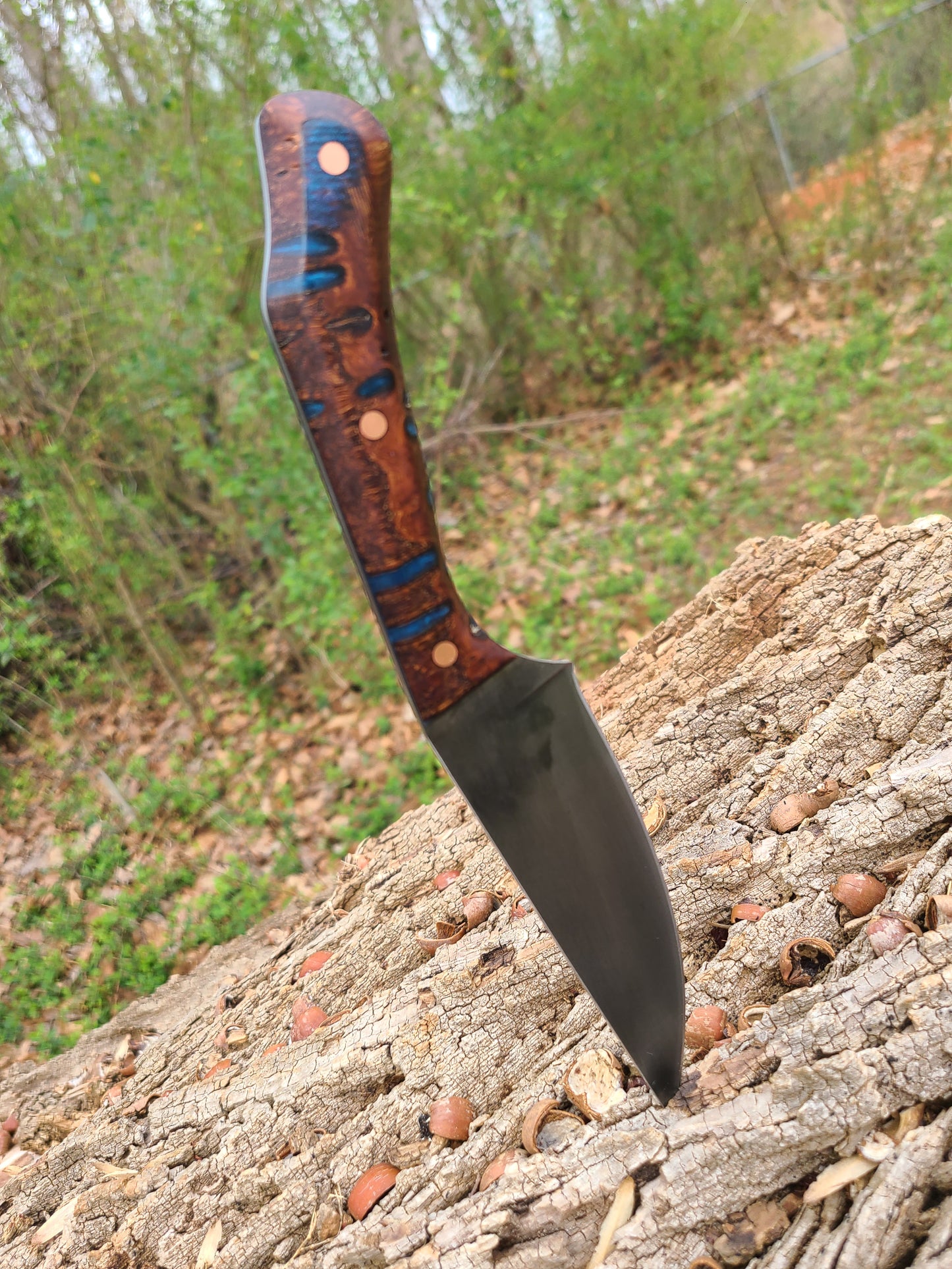 Blue Banksia Pod Thorn with Handstitched Leather Sheath