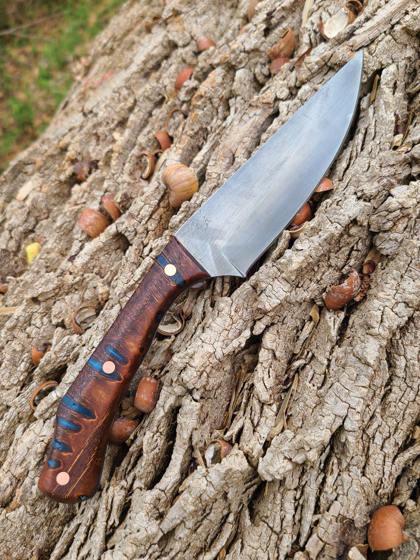 Blue Banksia Pod Thorn with Handstitched Leather Sheath