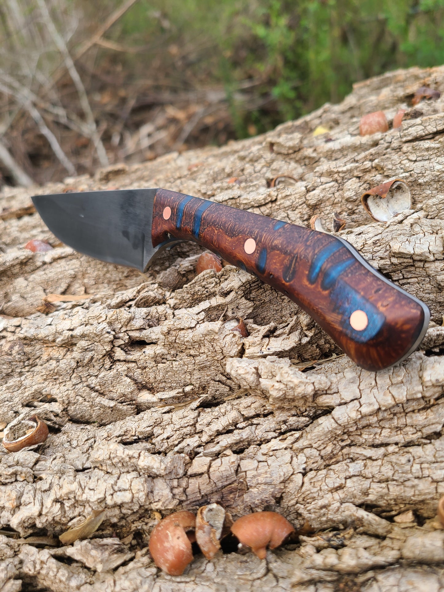 Blue Banksia Pod Thorn with Handstitched Leather Sheath