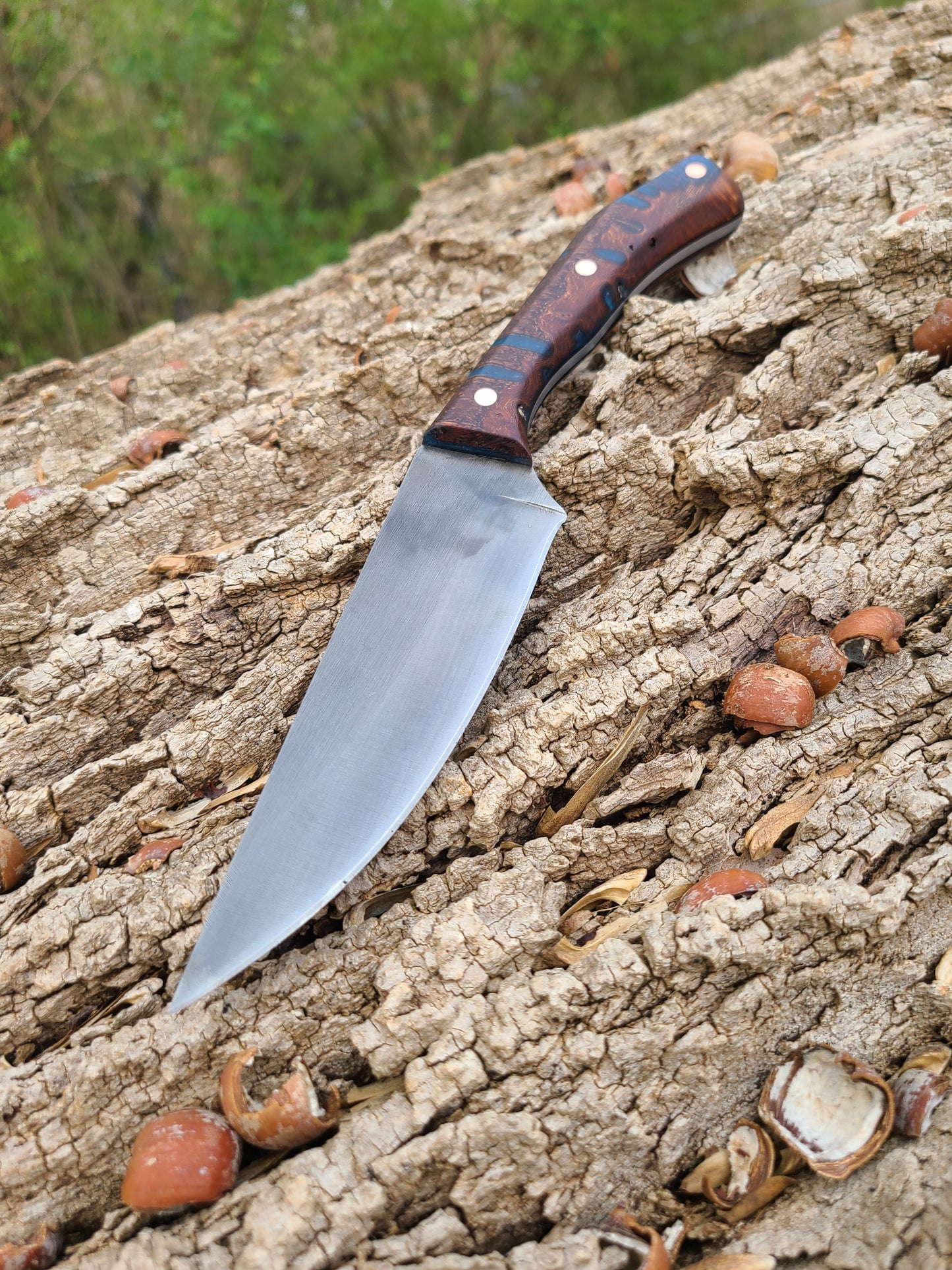 Blue Banksia Pod Thorn with Handstitched Leather Sheath