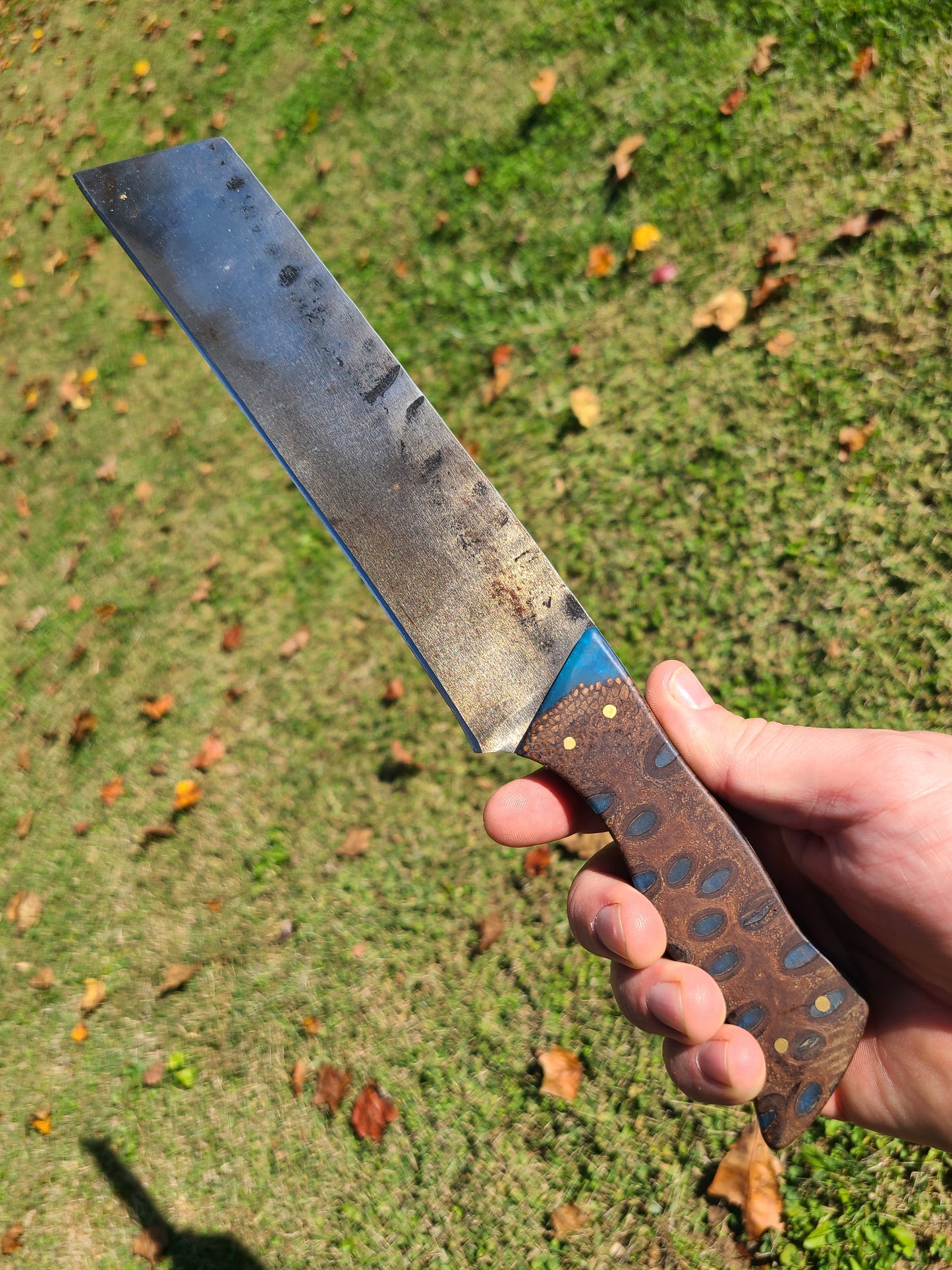 Sheepfoot Seax Hybrid with Resin Banksia Pod Handle